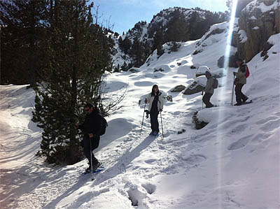 Curs de rescat amb Arva + Raquetes de neu a Vallter